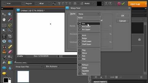 Photoshop Elements 9.0 Tutorial Entering Text Adobe Training Lesson 11.2