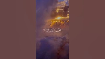 أَفَلَا يَنظُرُونَ إِلَى الْإِبِلِ كَيْفَ خُلِقَتْ - سورة الغاشية - القارئ عبدالرحمن مسعد 🥀🥰