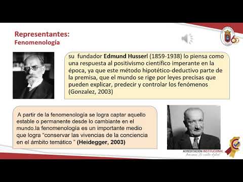Vídeo: Diferencia Entre Teoría Fundamentada Y Fenomenología
