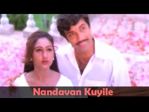 Nandavana Kuyile Satyaraj Preitha Vijayakumar  Ponnu Veetukkaran  Ilaiyaraja Hits  Classic Song