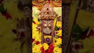 குன்றெல்லாம் குமரன் இருக்கும் இடம் #ஓம் முருகா சரணம் 🙏#shortsfeed #....