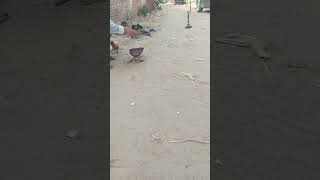 hukka banany ka Desi tarika