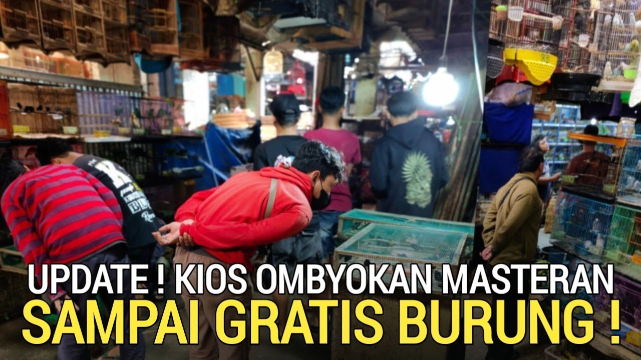 JELANG LEBARAN ! KIOS PASAR PRAMUKA INI SAMPAI GRATISIN BURUNG OMBYOKAN 