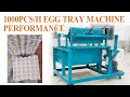 Small egg tray production witness the excellence of egg tray making machine eggtraymachine