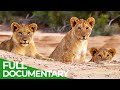 Secrets of the Namib - A Desert Bursting with Life | Free Documentary Nature