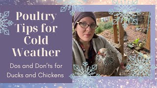 Chicken + Duck Tips for Cold Weather: Dos and Don’ts