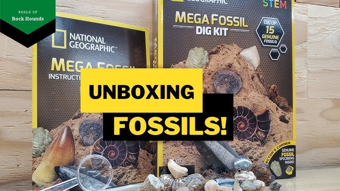 UNBOXING: Nat-Geo Ultimate Rock, Mineral & Fossil Activity Kit