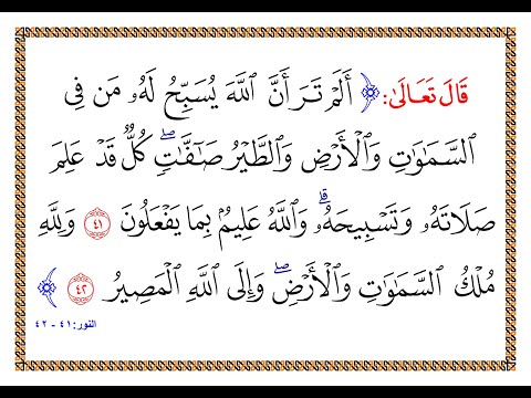 تفسير سورة النور من الآية 41 إلى الآية 42 تفسير السعدي المقروء والمسموع