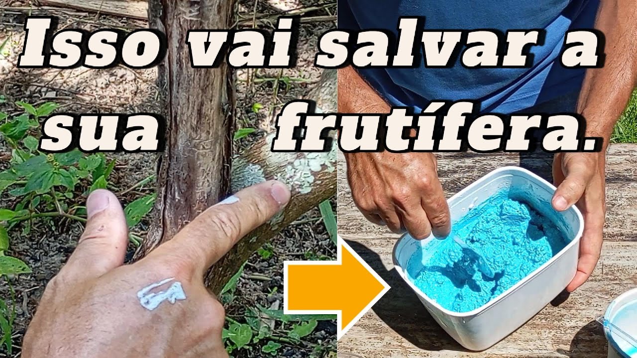 Como fazer pasta bordalesa e como aplicar nas plantas. 😉​🌳​🥭​🍋​🍊​