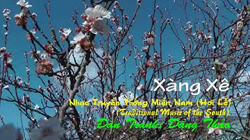 XÀNG XÊ (8 câu) - Đàn Tranh (Vietnamese Zither): Đăng Thảo