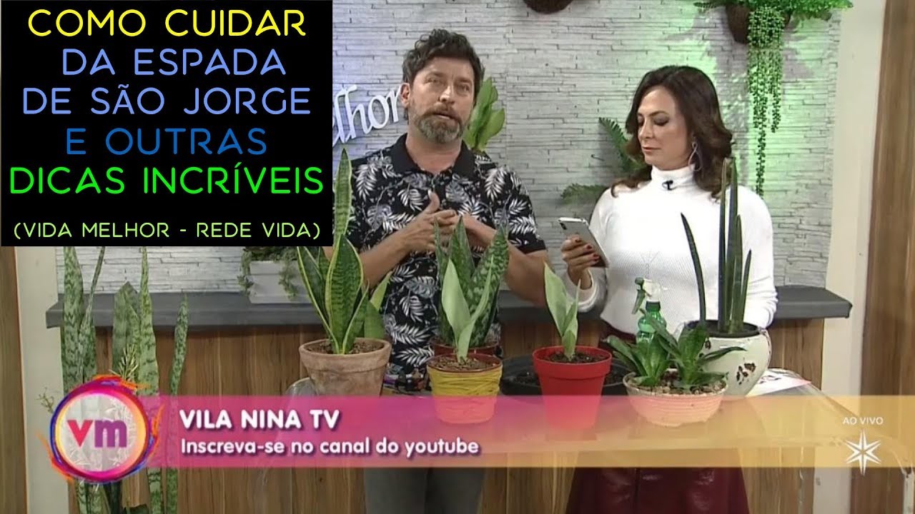 Como Cuidar da Espada de São Jorge e Outras Dicas Incríveis ao Vivo no Vida Melhor