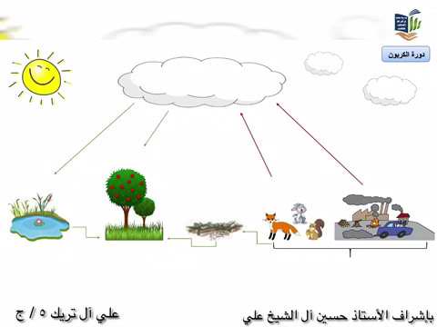 مخطط مبسط لدورة الكربون في الطبيعة.  موقع YouTube