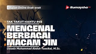 TAK TAKUT HANTU #03. MENGENAL BERBAGAI MACAM JIN   - Ustadz M Abduh Tuasikal, M.Sc.