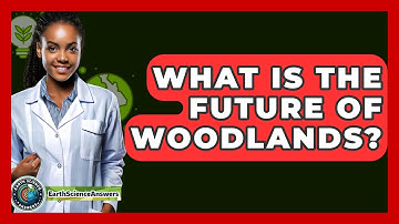 What Is The Future Of Woodlands? - Earth Science Answers