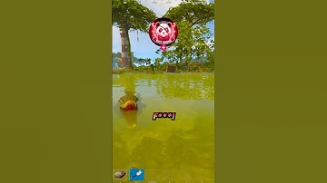 This is way the new rust update is bad!  #rust