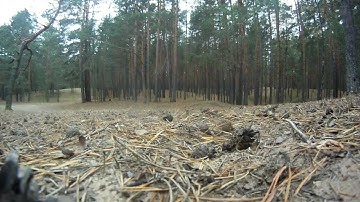 Traxxas Rustler VXL slow motion jump!!! ))