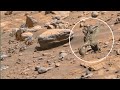 Mars Perseverance Rover Sends Breathtaking 360 Clip | Smooth Slope and Ancient Rocky Layer Exposed