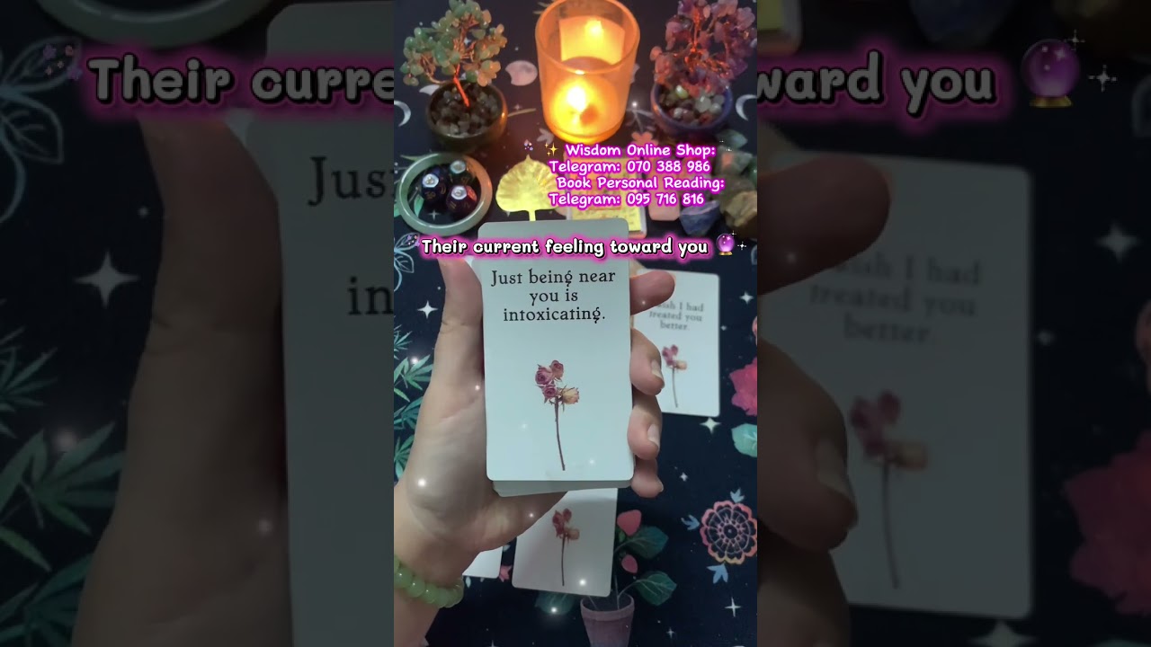 Their current feelings for you 🥰 ~ Timeless Tarot Reading 