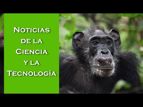 Venus tuvo tectónica de placas, los denisovanos y nuestra salud mental, el agua de Marte