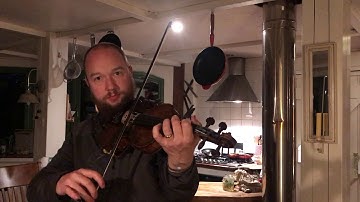 Day  134  -  Eilish Brogan’s Reel  - Fergal