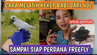 Download lagu HOW TO TRAIN A PIGGY FROM ZERO ‼️UNTIL READY FOR THE FIRST FREEFLY FOR BEGINNERS, IMMEDIATE SUCCESS