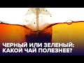 Правда или ложь? Разбираем популярные МИФЫ о ЧАЕ