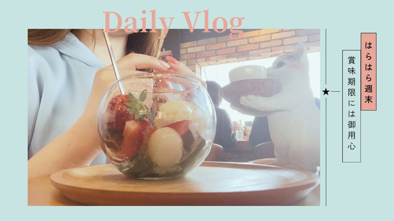 【vlog】体調崩してハラハラ週末vlog |賞味期限切れには要注意！| ネコといちごはいつでも正義🐈🍓