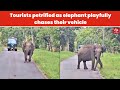 Tourists petrified as elephant playfully chases their vehicle