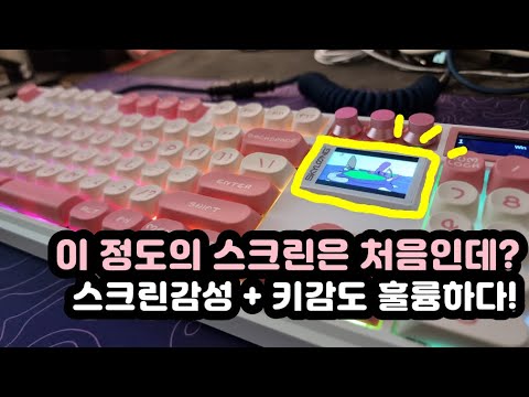 【키보드 리뷰, 자막有】 SKYLOONG GK104PRO | KTT Rose Sea Blue | 게이밍 기계식키보드 | 1ms 반응속도 키감좋은 풀배열 가성비 키보드 추천