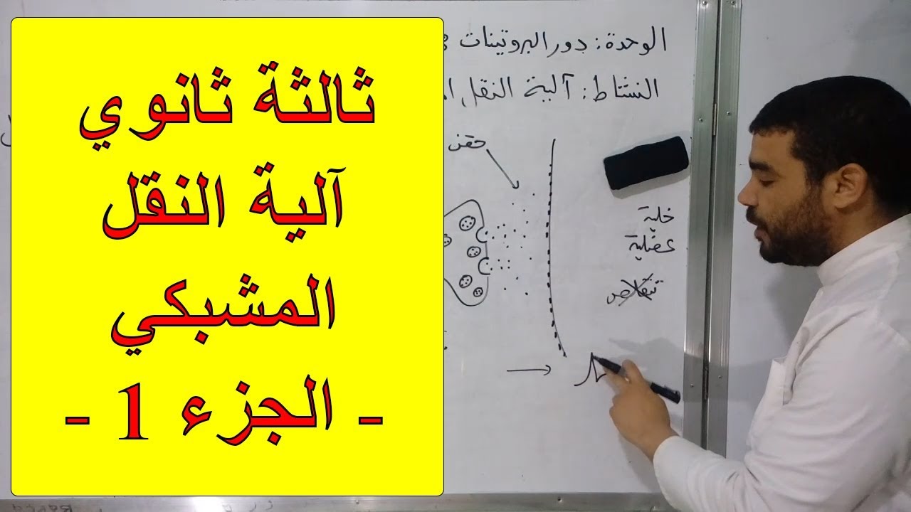 دور البروتينات في الاتصال العصبي