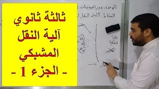 آلية النقل المشبكي (الجزء 1) وفق تدرج سبتمبر 2019