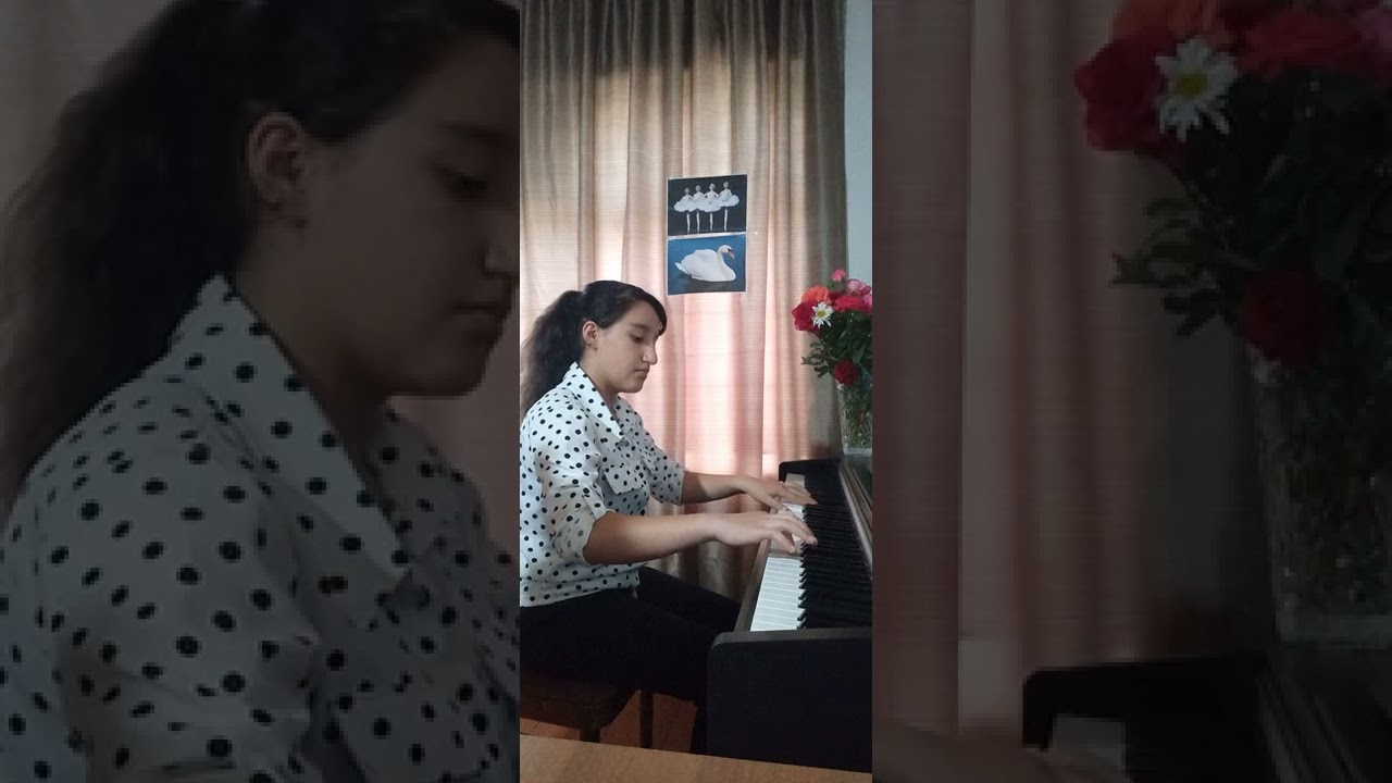 Beynəlxalq musiqi festivalında laureat adına layiq görüldüyümüz video.