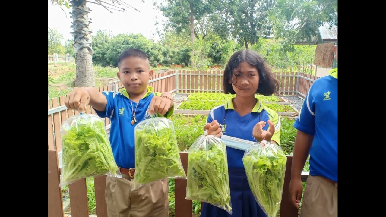 นำเสนอที่ปรึกษากลุ่มยุวเกษตรกร  ระดับประเทศ ประจำปี 2564 นางสาวประทุมรัตน์  จงคูณกลาง จ.นครราชสีมา