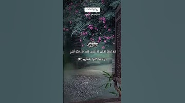 فَلَا تَعْلَمُ نَفْسٌ مَّا أُخْفِيَ .. عبد الرحمن مسعد سورة السجدة#عبدالرحمن_مسعد #quran #قران_كريم