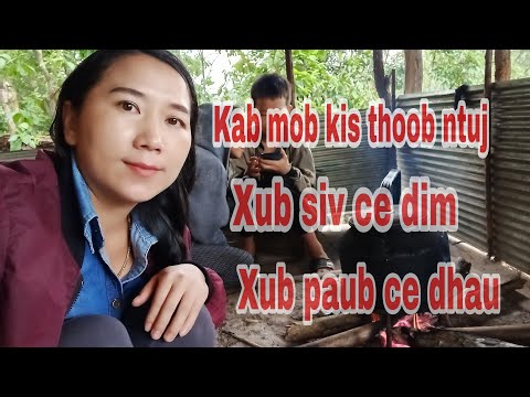 Video: Koog Tsev Kawm Ntawv Cov Tsev Kho Mob: Tsis Paub Siv Rov Siv