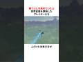暇つぶしを極めていたら世界記録を更新したプレイヤーたち