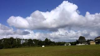 Details Trex 500 3d flying @ St Cloud FL Update
