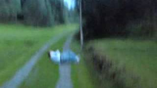 Drunk backflip faceplant