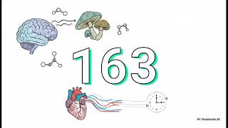 The Journey of Psilocybin: Ingestion to Brain | OOTW