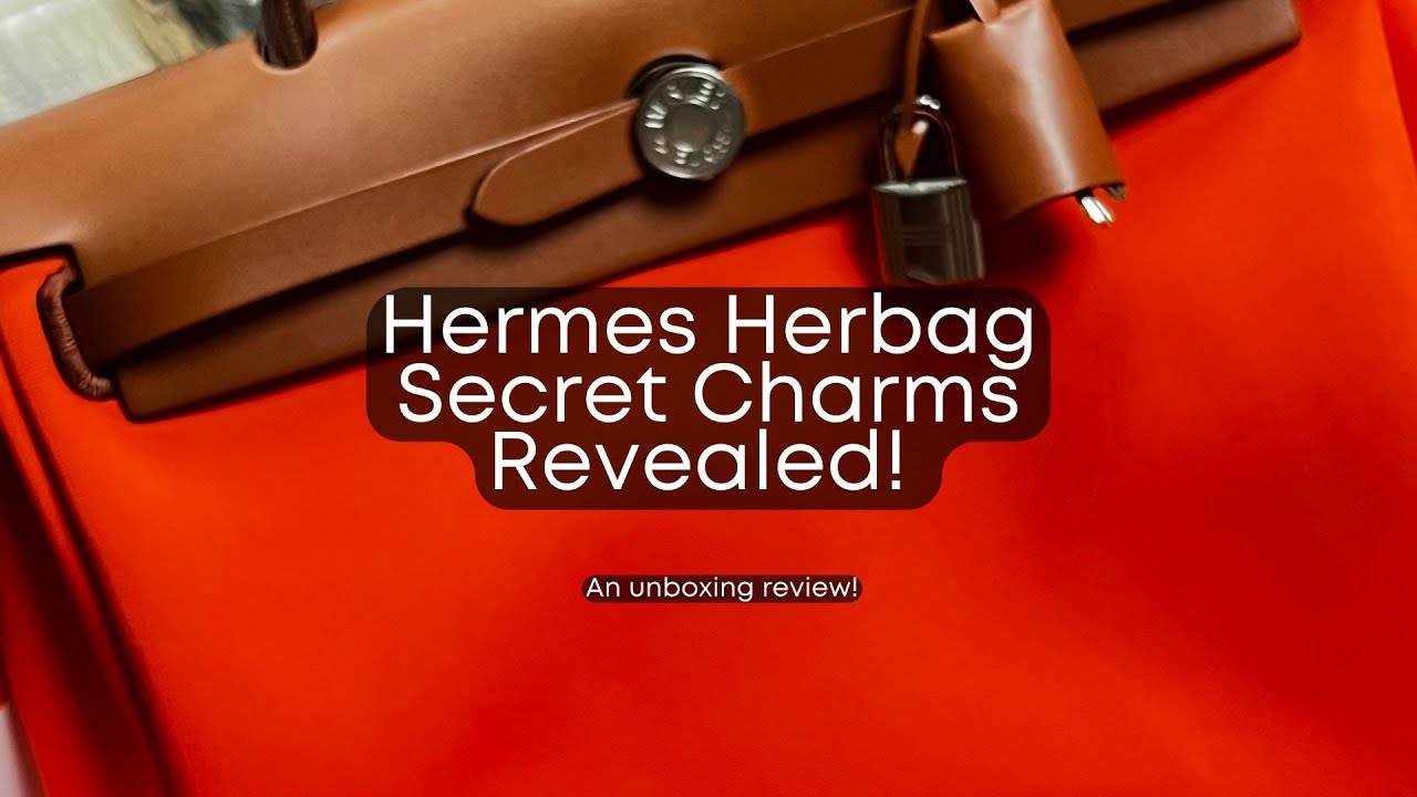 Hermes Herbag Bag Canvas Palladium Hardware In Coffee