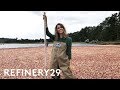 I Worked As A Cranberry Farmer For A Day | Lucie For Hire | Refinery29
