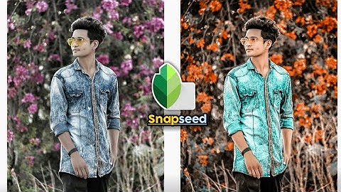 Snapseed Background Colour Change | Snapseed photo editing | Snapseed Tutorial