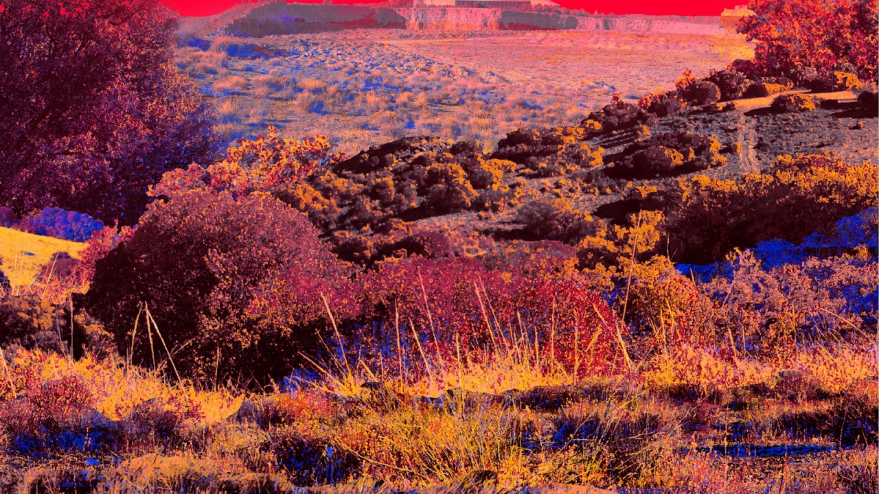 INMATES - Inmates [FULL ALBUM] 2017