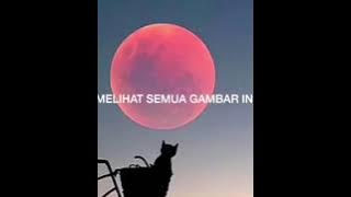 Story WA 30 detik instagram BAPER...