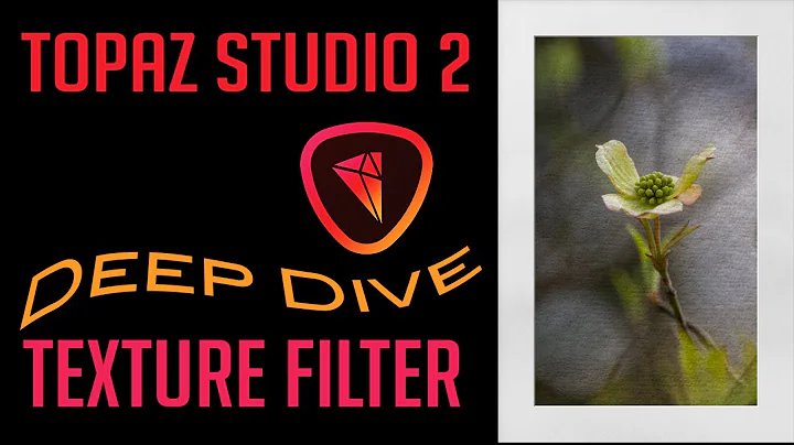 Unleash Creativity with Topaz Studio 2's Texture Filter