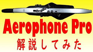 【Aerophone Pro　脱力紹介】エアロフォン　最新モデル『AE-Pro』どんな感じ？音色は？実機を使ってゆる～く解説してみますよ～【最新音源ZEN-Core搭載・エアロフォン　プロ】
