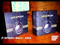 Pace Focus Bluetooth Headphones | Unboxing by Nairobi Design Week