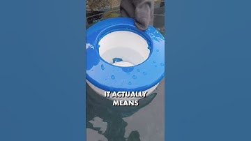 Is Your Pool’s Chlorine “Dead” in the Water? ☠️