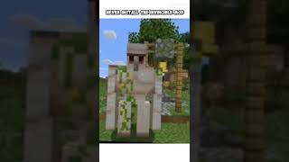 Never install the invincible mod minecarft
