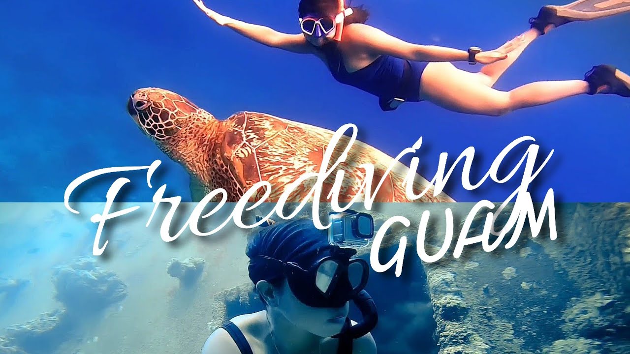 Freediving Guam 🇬🇺 Gun Beach Barges + Shipwreck, Amazing so many
